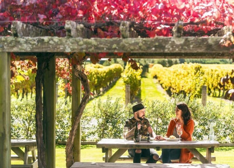 Nelson: Marlborough Wine Tour with Tastings and Lunch - The Sum Up: Is This the Tour for You?