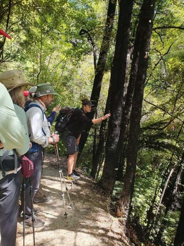 Nelson: Nelson Lakes National Park Day Trip with Lunch - Key Points