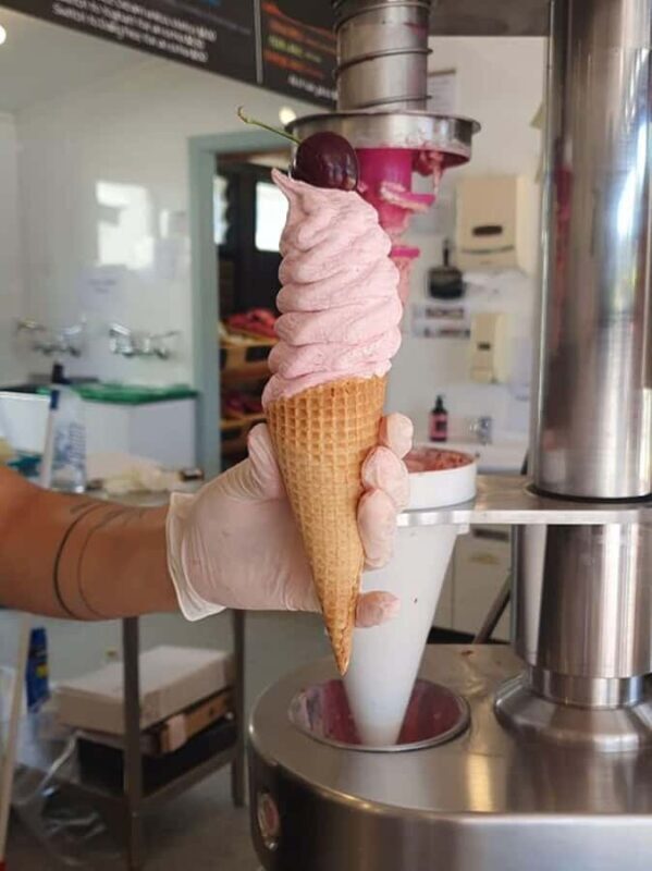 Nelson: Taste Tasman Food & Wine Tour with Lunch & Tastings - Value and Price