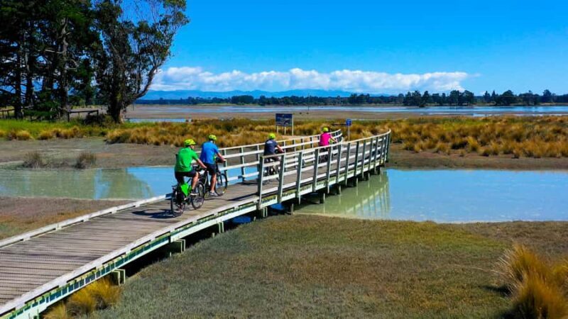 Nelson to Mapua: Full-Day Cycling Self-Guided Adventure - Introduction