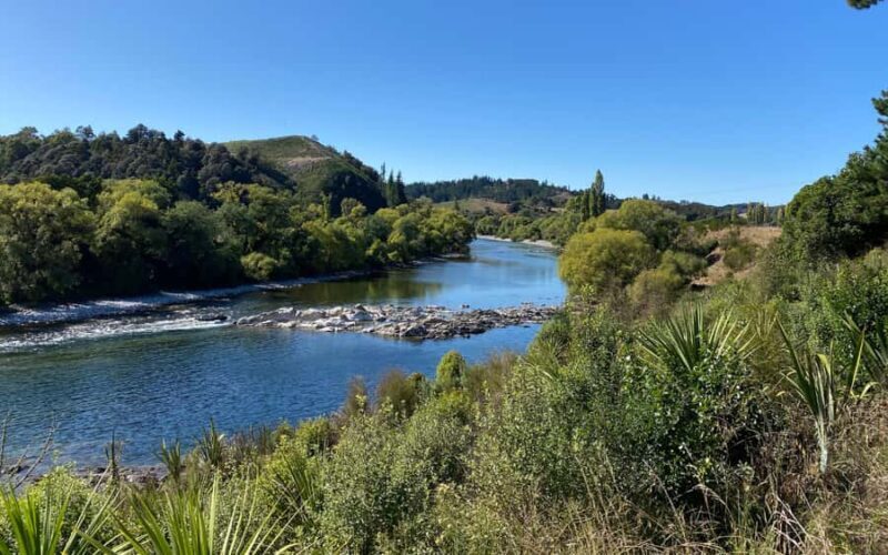 Nelson to Mapua: Full-Day Cycling Self-Guided Adventure - Pricing and Value