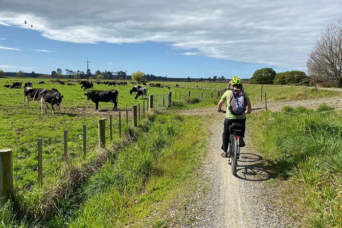 Nelson to Mapua: Full-Day Self-Guided Cycling Adventure - FAQs