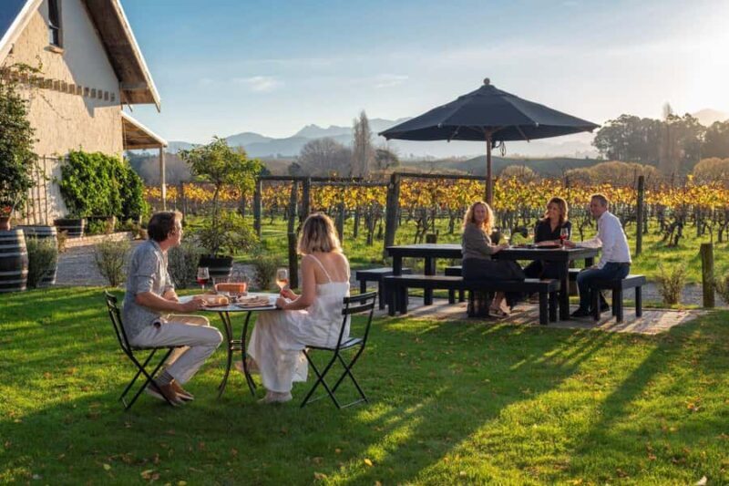 Nelson: Wine and Art Tour with Tastings and Lunch - Potential Drawbacks and Considerations