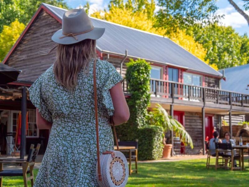 Nelson: Wine Tour with Tastings and Lunch - Who Will Love This Tour?