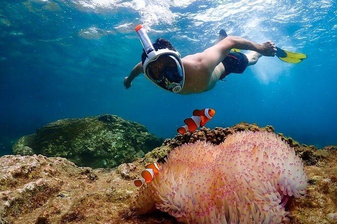 Nemo Island Experience with Drone Photos and Lunch - What Makes the Nemo Island Experience Special?