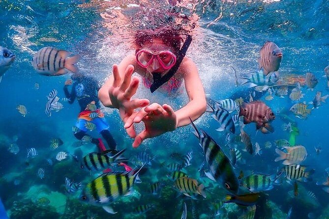 Nemo Island Experience with Drone Photos and Lunch - Value for Money and Practical Considerations