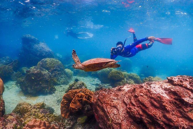 Nemo Island Experience with Drone Photos and Lunch - The Sum Up: Who Is This Tour Best For?