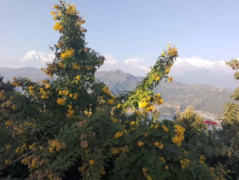 Nepal: 8-Day Honeymoon Tour of Nepal with Chitwan & Pokhara - FAQ