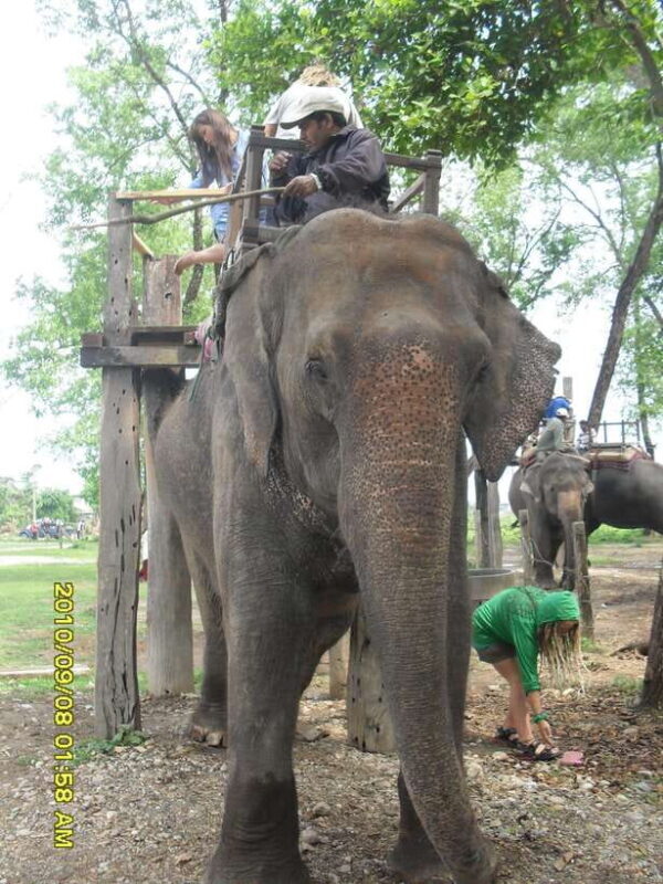 Nepal: Kathmandu and Chitwan National Park Tour - Discovering Kathmandu: A Cultural Capital