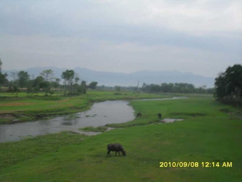 Nepal: Kathmandu and Chitwan National Park Tour - Return to Kathmandu: Reflecting on the Adventure