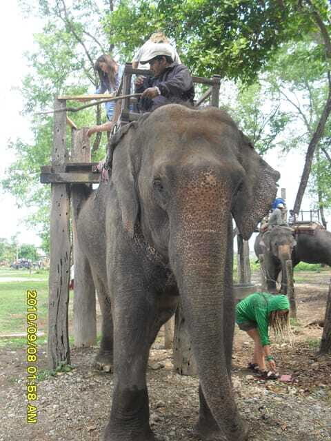 Nepal: Kathmandu and Chitwan National Park Tour - FAQ