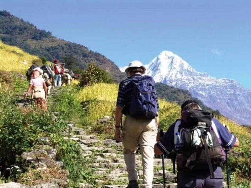 Nepal: Small Group 4-day Mardi Himal Trekking - A practical guide to this 4-day adventure