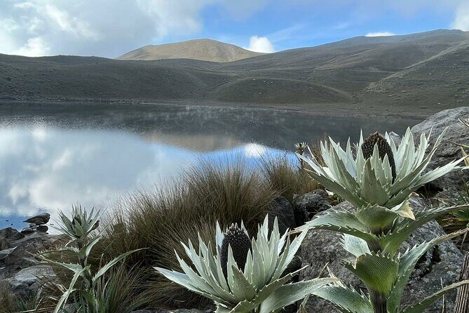 Nevado de Toluca Tour from Mexico City - Final Thoughts: Is It Worth It?