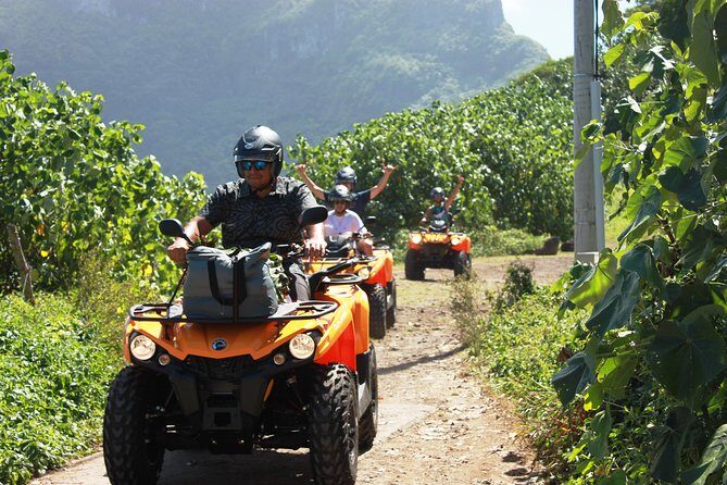 NEW!!! ATV TOURS with a local tour guide from Bora Bora - An Honest Look at the Bora Bora ATV Tour