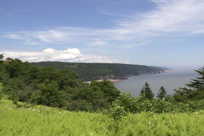 New Brunswick Shore Excursion: Bay of Fundy and More Highlights Tour - The Itinerary in Detail: What You Can Expect