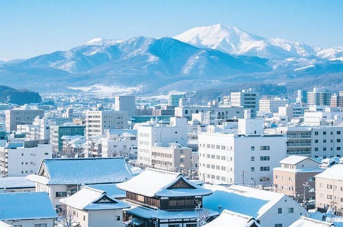 New Chitose Airport(CTS): Private Transfer to/from Niseko/Sapporo - Booking and Pricing: Does It Offer Good Value?