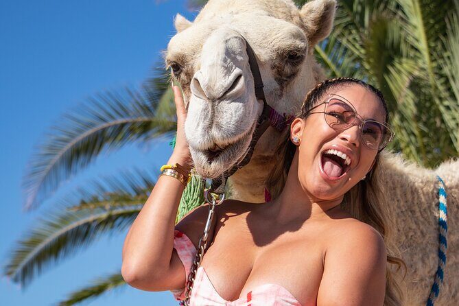 NEW! Combo Camel Beach Ride and UTV 4X4 Cabo Adventure, Tequila & - Common Concerns and Review Feedback