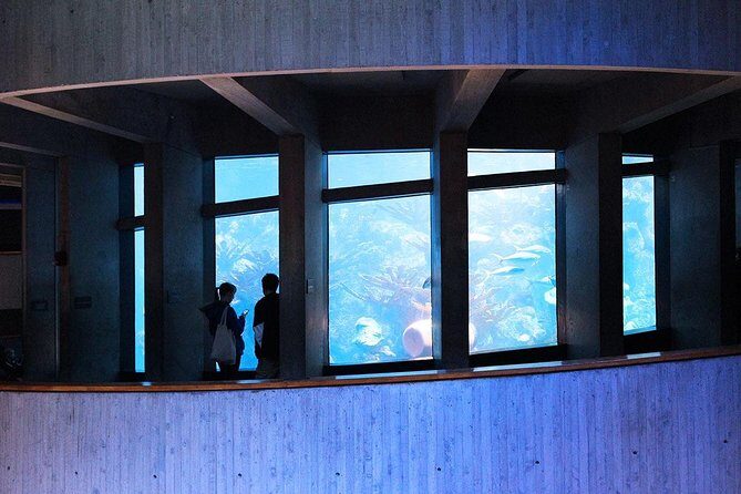 New England Aquarium Admission Ticket in Boston - Key Points