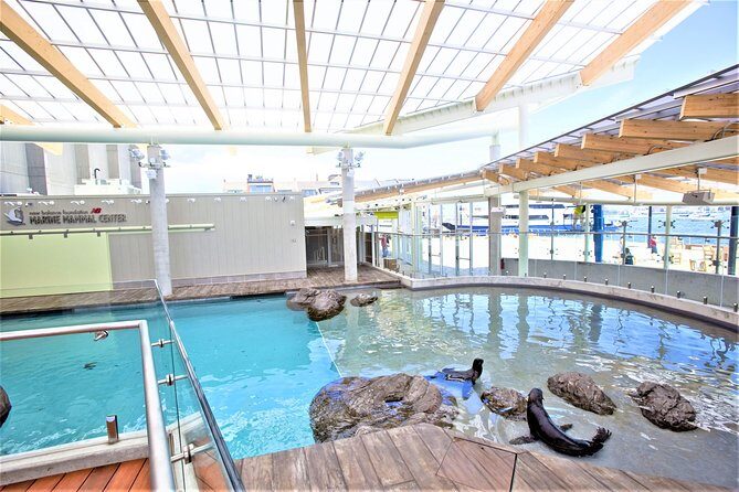 New England Aquarium Admission Ticket in Boston - Authentic Visitor Feedback