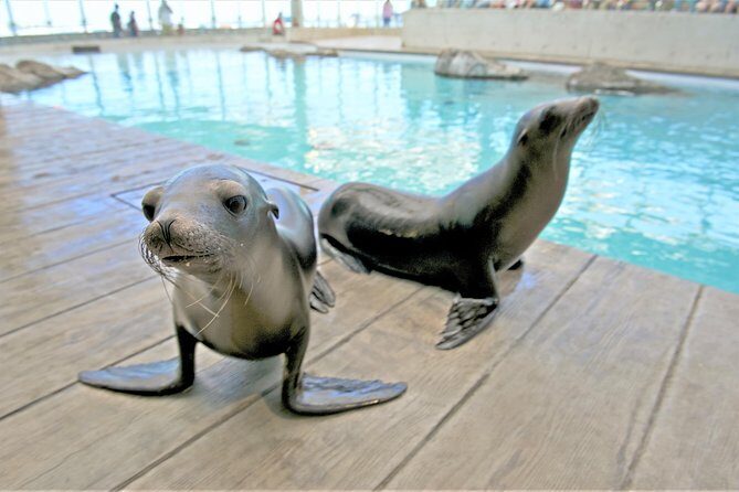 New England Aquarium Admission Ticket in Boston - Who Should Visit?