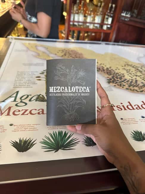 New Friends and Mezcal Tasting Deluxe in Oaxaca city! - Exploring Oaxaca’s Mezcal Scene: A Detailed Review