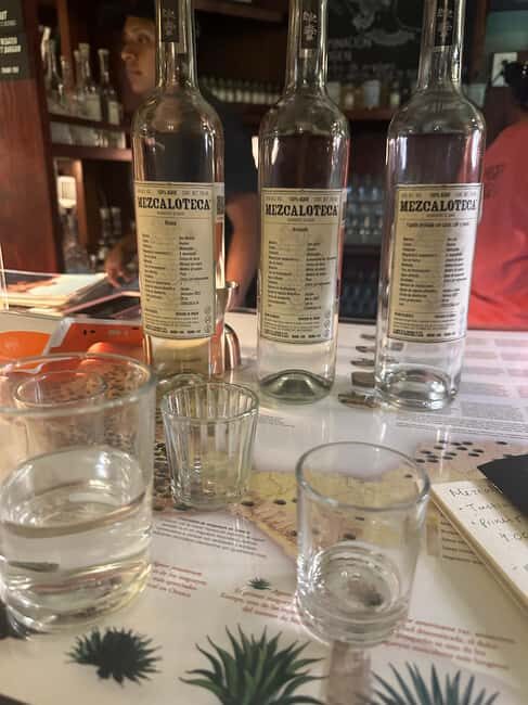 New Friends and Mezcal Tasting Deluxe in Oaxaca city! - FAQ