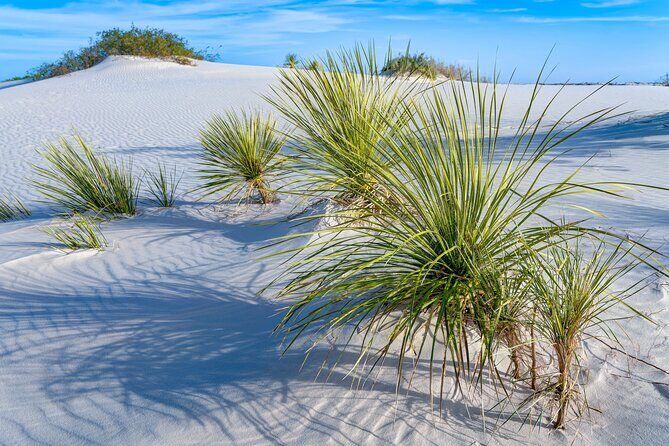 New Mexico: Carlsbad, Santa Fe & White Sands Audio Tour - FAQ: Practical Questions Answered