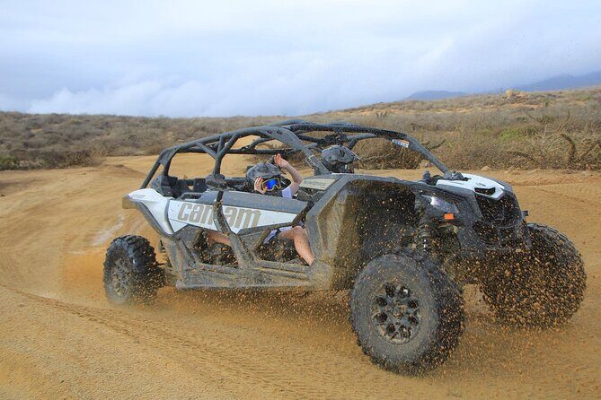 NEW! Off-Road Cabo Adventure: Beach & Desert Ride Tequila Tasting - Final Thoughts