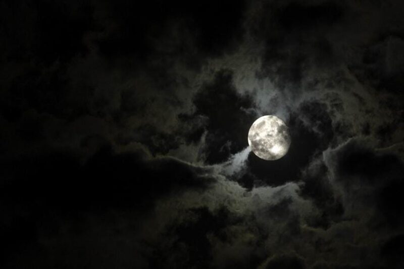 New Orleans: 2-Hour Paranormal Investigation Tour - What to Expect at Each Stop