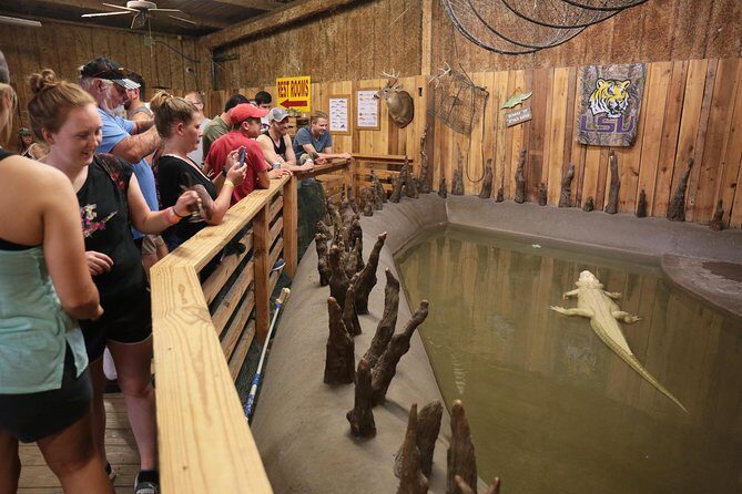 New Orleans Airboat Ride - The Heart of the Tour: The Bayou Experience