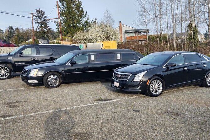 New Orleans Airport (MSY) to New Orleans - Arrival Transfer - Why Choose This Transfer?