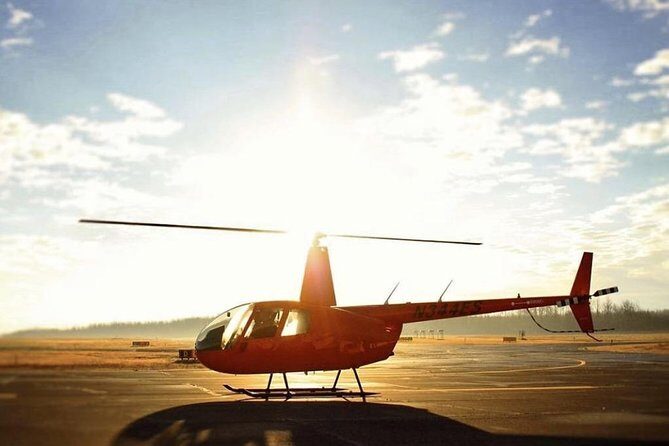New Orleans City and Swamp Helicopter Tour - Key Points