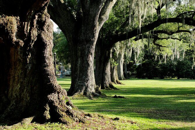 New Orleans: City Park Exploration Game and Tour - Final Thoughts: Who Is This Tour Best For?
