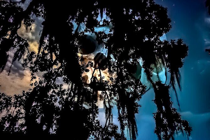 New Orleans Dead of Night Ghosts and Cemetery Bus Tour - Introduction to the Experience