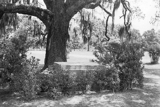 New Orleans Dead of Night Ghosts and Cemetery Bus Tour - Authenticity and Atmosphere