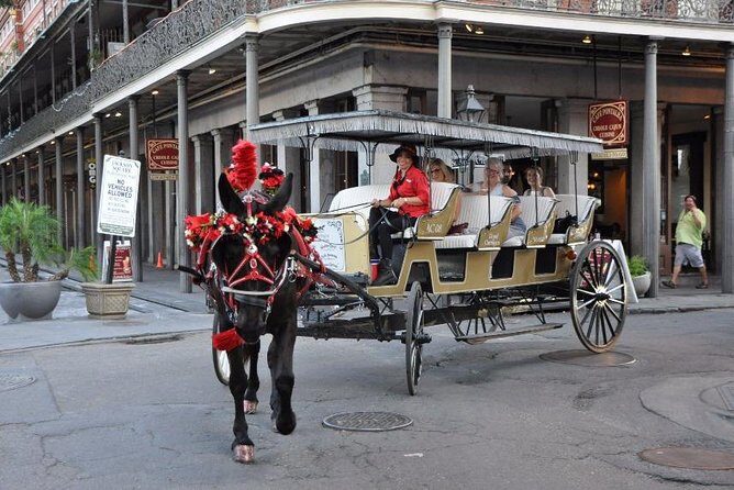 New Orleans French Quarter and More Carriage Ride - The Real Reviews Speak Volumes