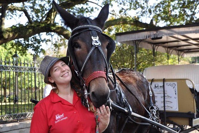 New Orleans French Quarter and More Carriage Ride - The Sum Up
