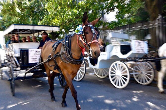 New Orleans French Quarter and More Carriage Ride - FAQ