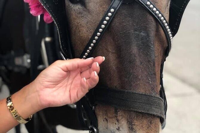 New Orleans Full Day Private Tour from Biloxi - A Deep Dive into the Experience