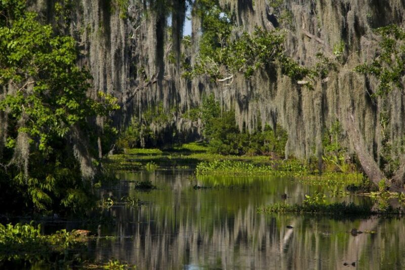 New Orleans: High Speed 16 Passenger Airboat Ride - The Experience and the Reviews