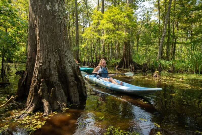 New Orleans: Manchac Magic Kayak Swamp Tour - The Sum Up