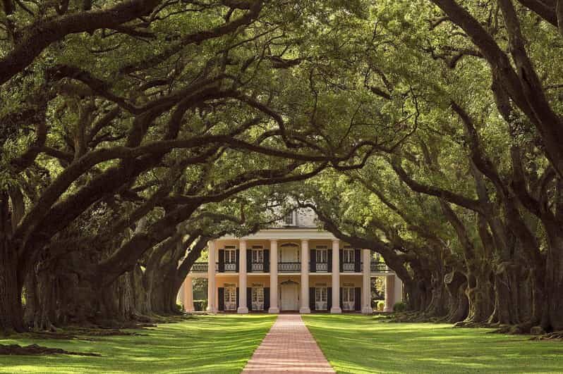 New Orleans: Oak Alley Plantation Half Day Tour - Tour Value and Cost