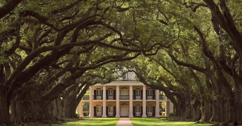 New Orleans: Oak Alley Plantation Half Day Tour - Authenticity and Educational Content