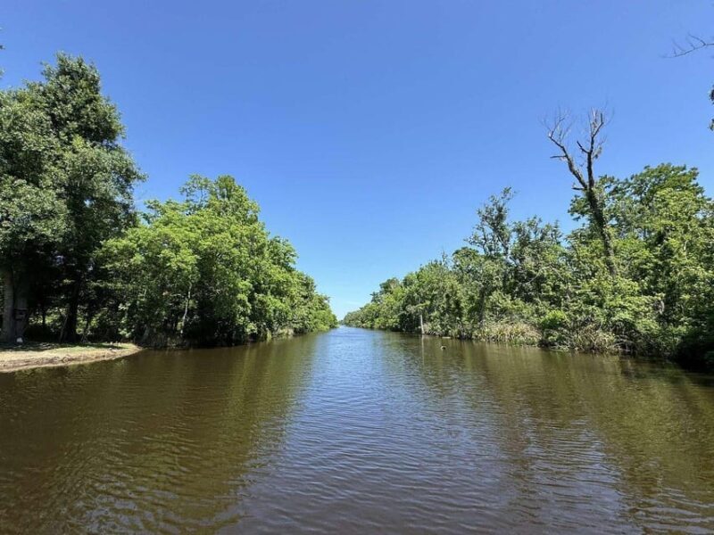 New Orleans: Oak Alley Plantation -N- Swamp Tour Full Day - FAQ