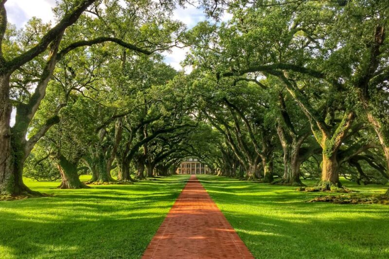 New Orleans: Oak Alley Plantation Tour with Transportation - The Transportation and Timing