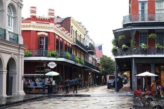 New Orleans Private Vehicle City Tour - Why Choose the New Orleans Private Vehicle City Tour?