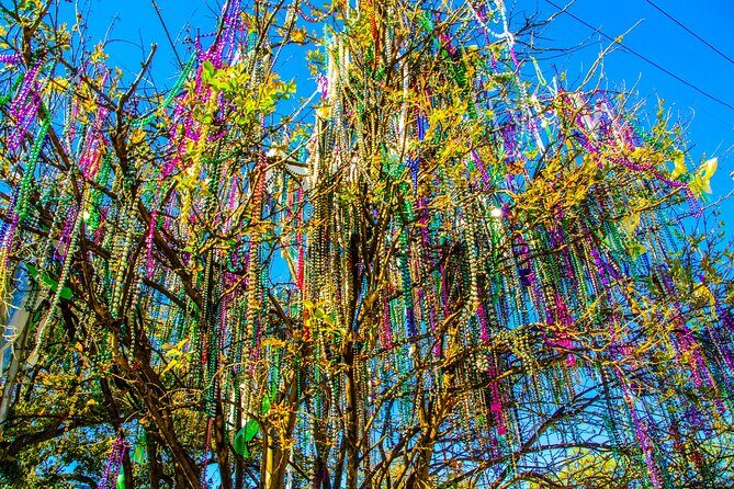 New Orleans Small-Group City Tour by Van - Who Is This Tour Best For?