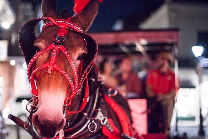 New Orleans Small-Group Haunted History Carriage Tour - FAQ