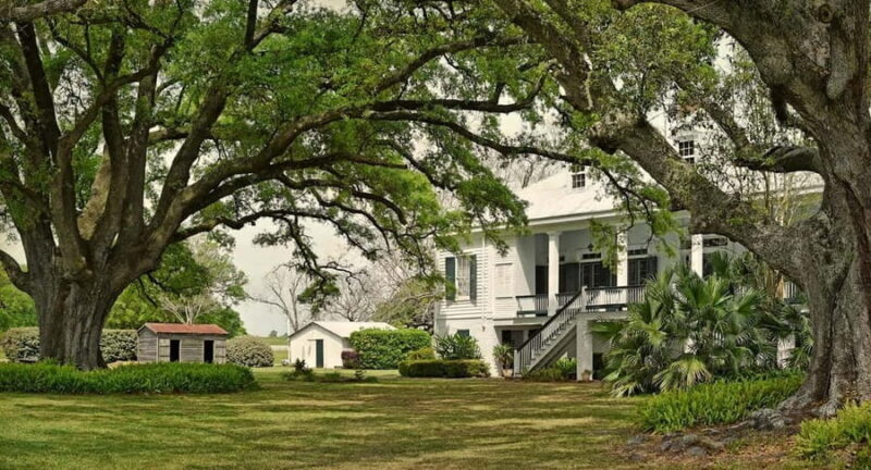 New Orleans: St. Joseph and Felicity Plantation Guided Tour - A Complete Look at the Tour Experience