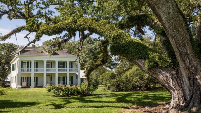 New Orleans: St. Joseph and Felicity Plantation Guided Tour - What to Expect on the Tour